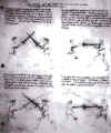 13r.jpg (287939 bytes)