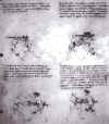 16r.jpg (318392 bytes)